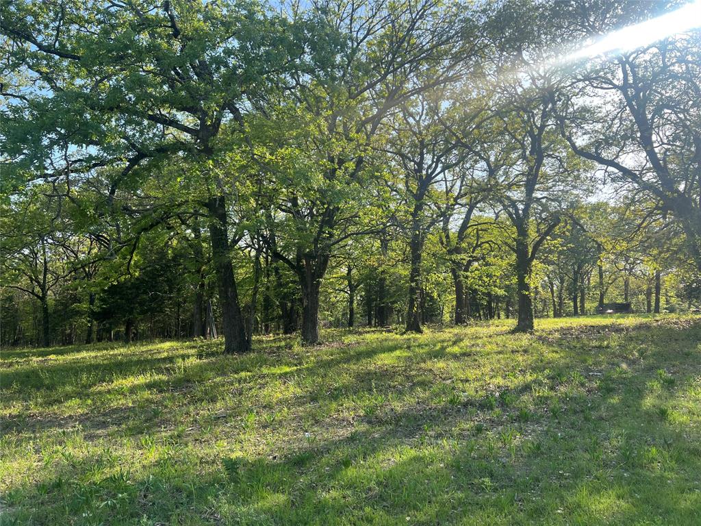 4776 County Road 2610 Bonham, TX 75418 - Photo 17 of 38 a large trees with lots of trees