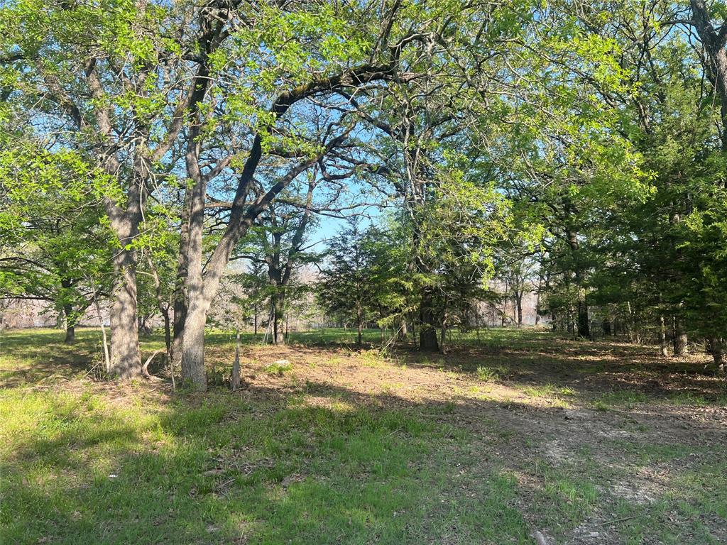 4776 County Road 2610 Bonham, TX 75418 - Photo 18 of 38 a view of outdoor space with trees all around