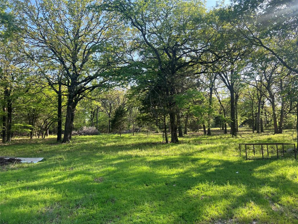 4776 County Road 2610 Bonham, TX 75418 - Photo 19 of 38 a big yard with trees