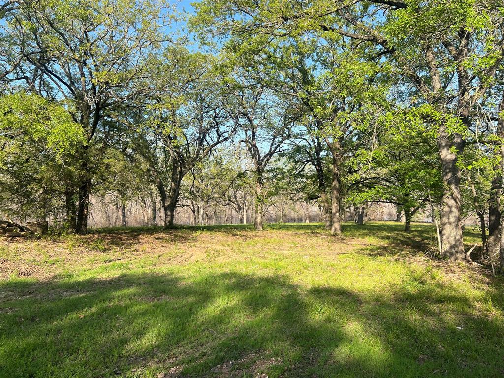 4776 County Road 2610 Bonham, TX 75418 - Photo 2 of 38 a view of yard with trees