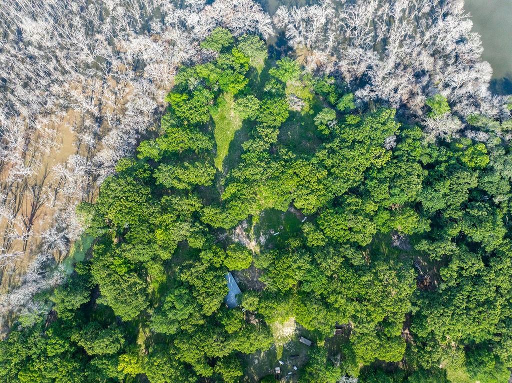 4776 County Road 2610 Bonham, TX 75418 - Photo 22 of 38