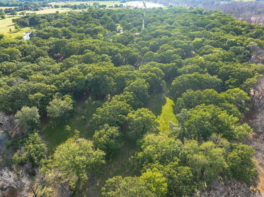 4776 County Road 2610 Bonham, TX 75418 - Photo 24 of 38 a close up of a plant