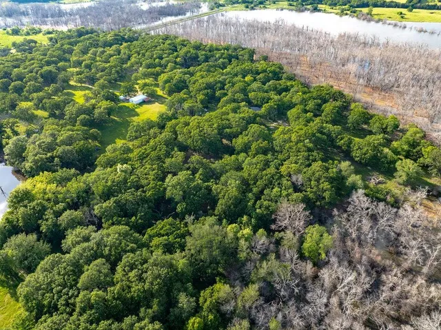 a view of a dry yard with trees in the background