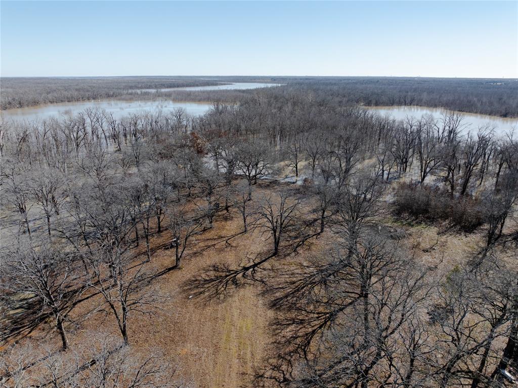 4776 County Road 2610 Bonham, TX 75418 - Photo 29 of 38 a view of a dry yard with trees in the background