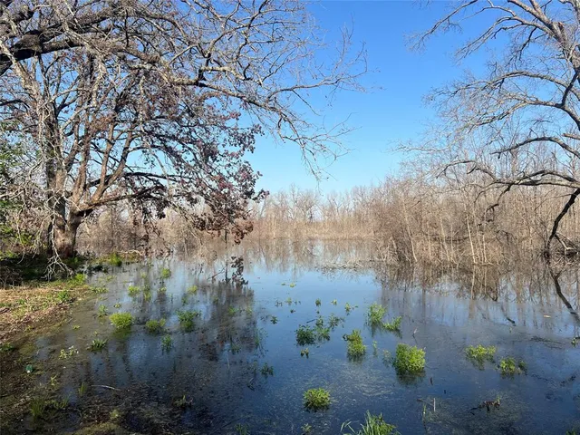 a view of a dry yard with trees