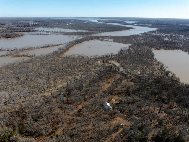 a view of a dry yard