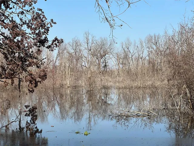 a big yard with lots of green space and trees