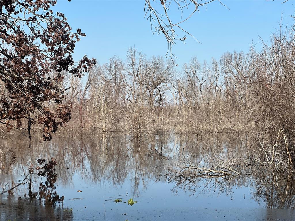 4776 County Road 2610 Bonham, TX 75418 - Photo 4 of 38 a view of a dry yard with trees