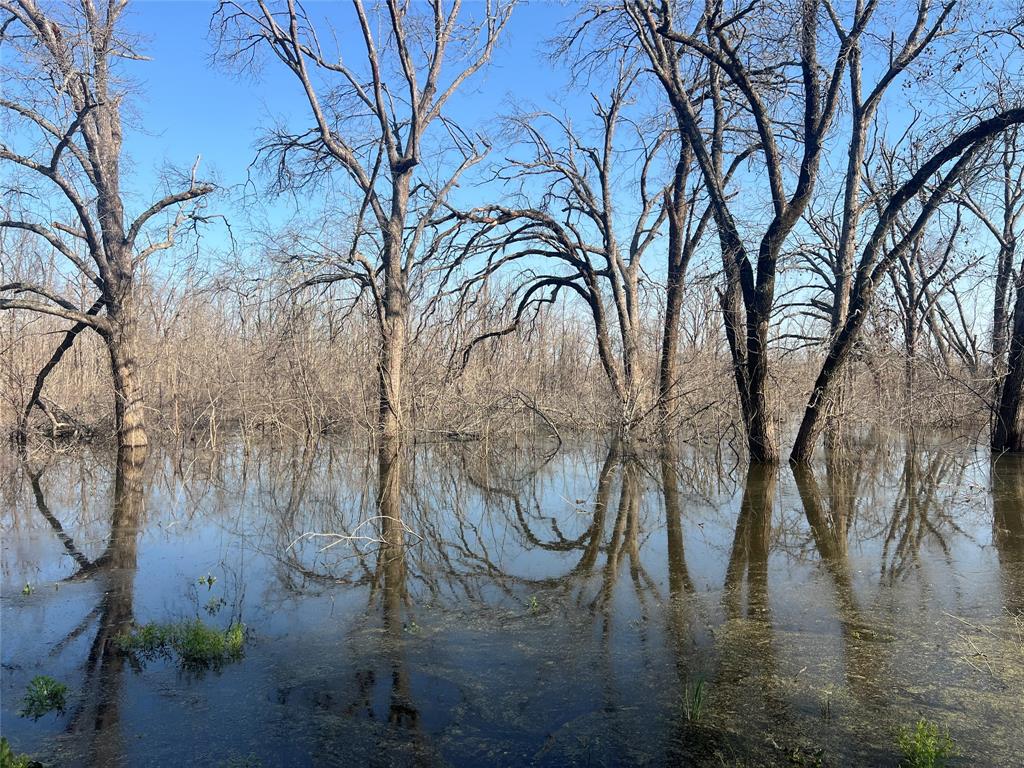 4776 County Road 2610 Bonham, TX 75418 - Photo 6 of 38 a view of yard with trees