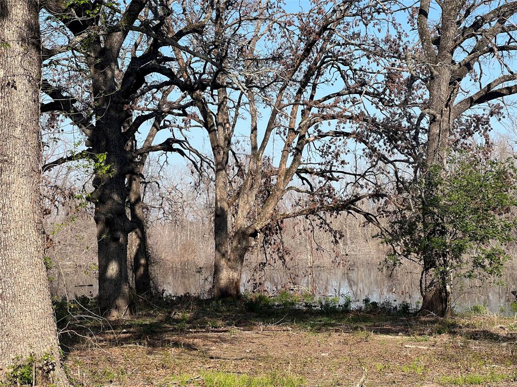 4776 County Road 2610 Bonham, TX 75418 - Photo 7 of 38 a view of a outdoor space
