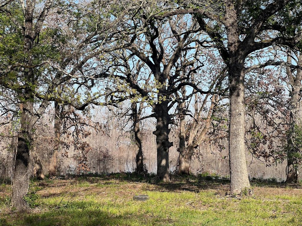 4776 County Road 2610 Bonham, TX 75418 - Photo 8 of 38 a view of wooden fence