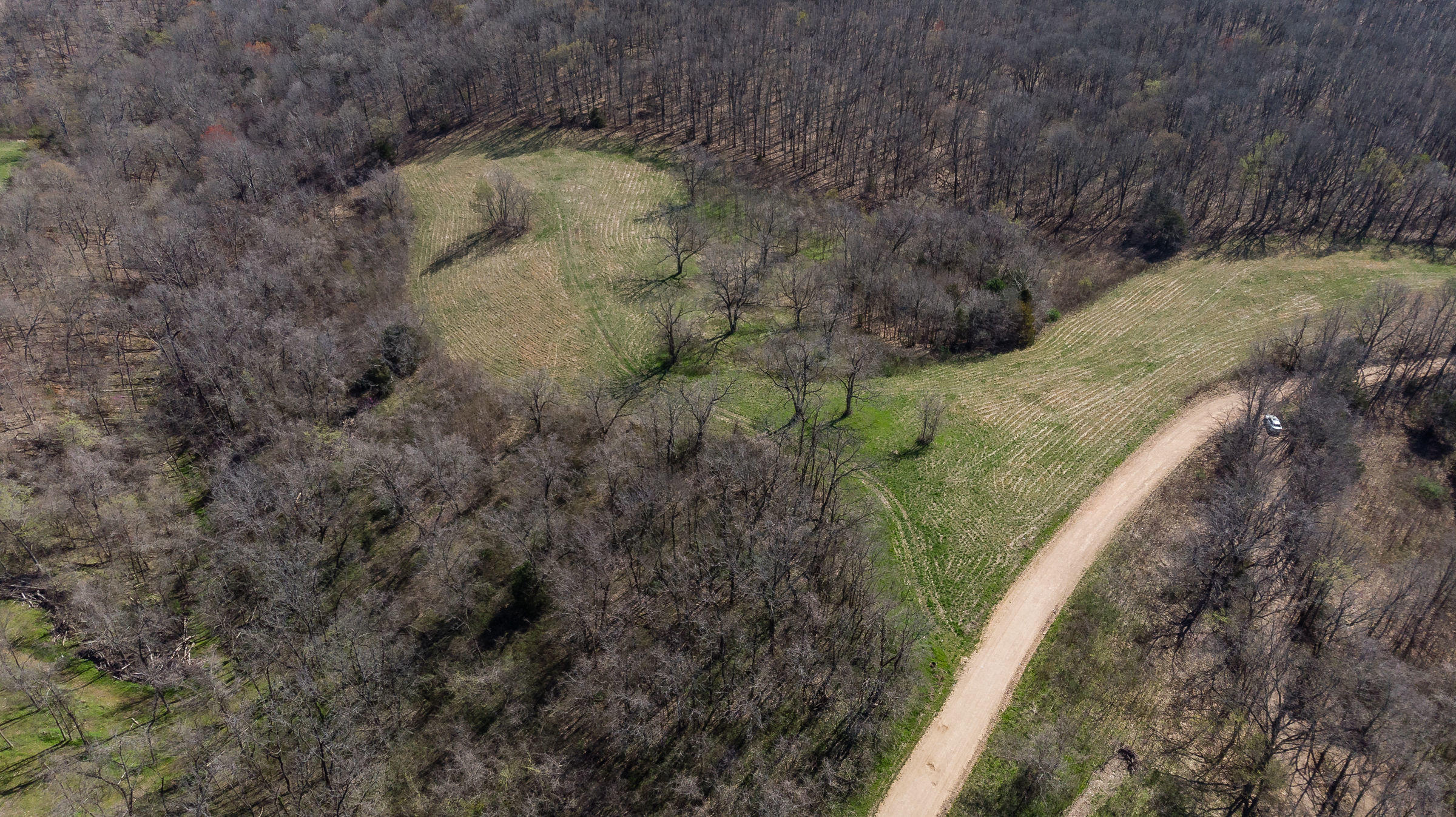 2-3 Schlessman Road Anderson, MO 64831 - Photo 1 of 1 Tract 2 &3 4