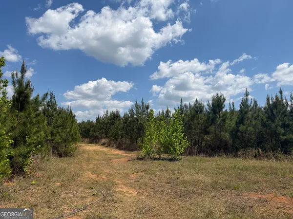 $209,928 | 67 George Milling Road, Cuthbert, GA 39840