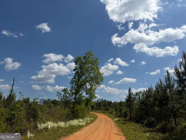 $209,928 | 67 George Milling Road, Cuthbert, GA 39840