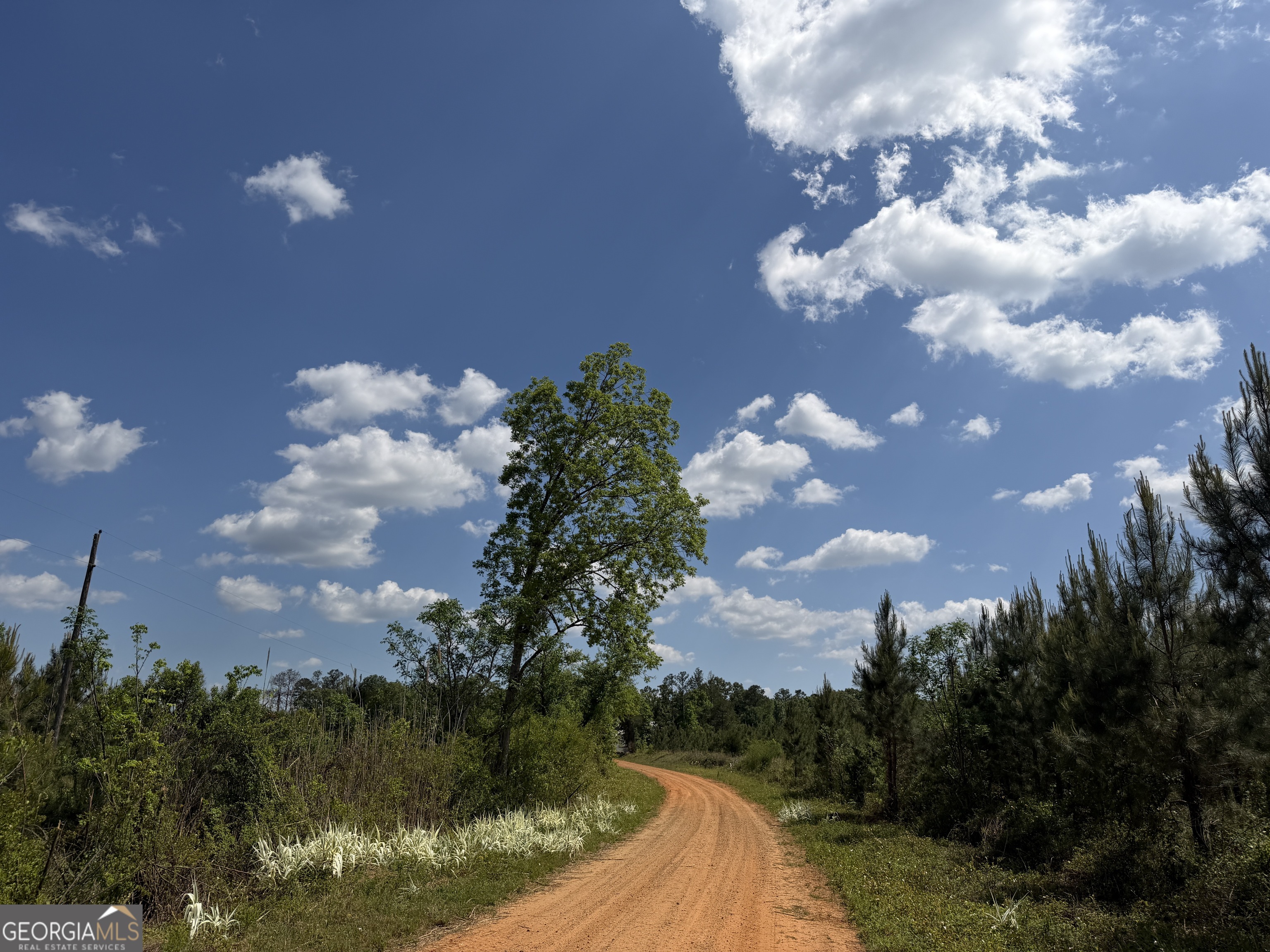 67 George Milling Road Cuthbert, GA 39840 - Photo 6 of 10