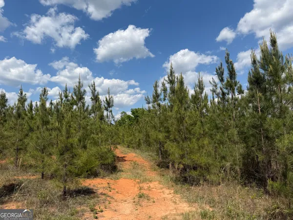 $209,928 | 67 George Milling Road, Cuthbert, GA 39840