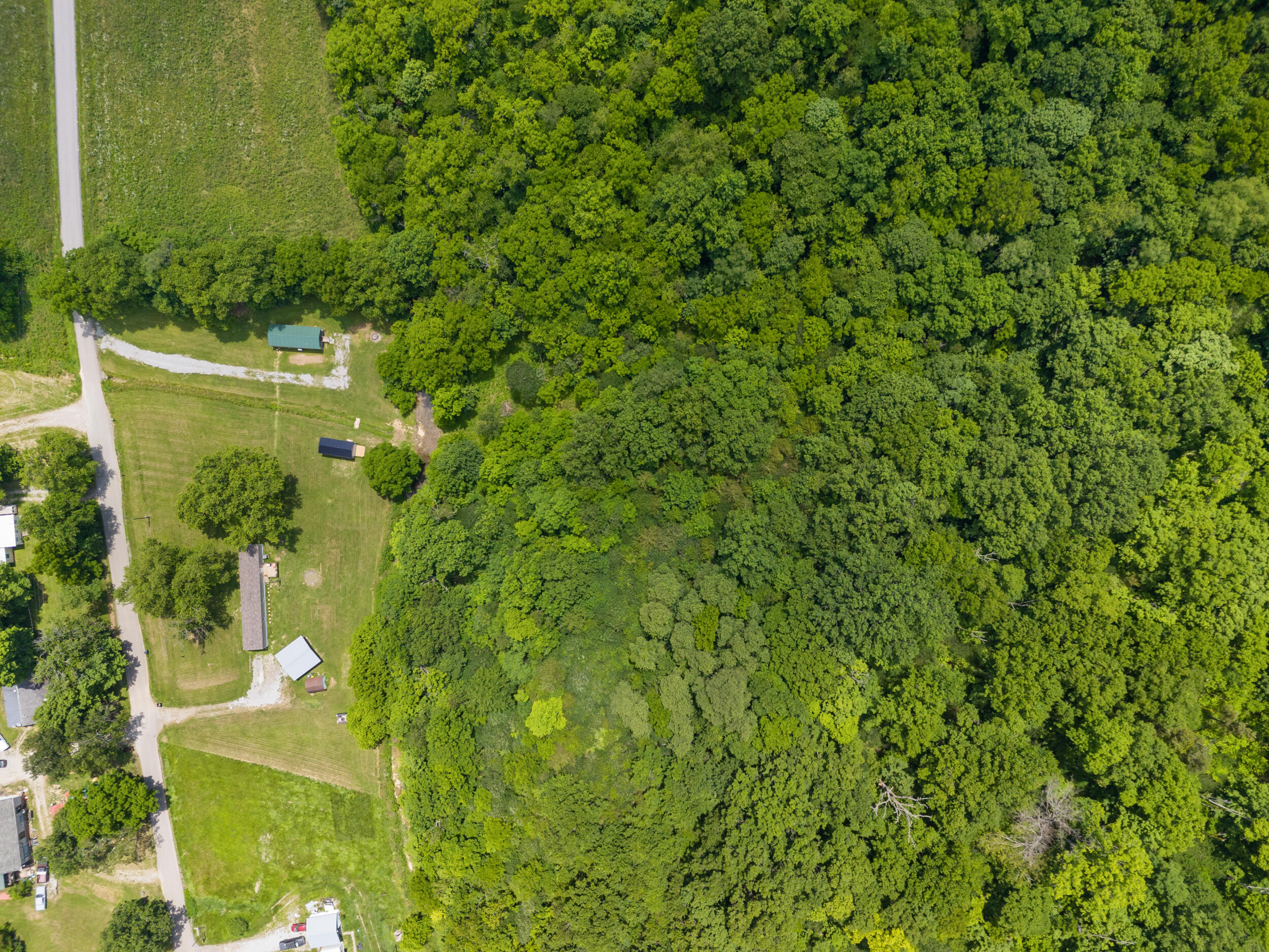 1090 Gunnell Road Georgetown, KY 40324 - Photo 10 of 34 dji_20240614122608_0031_d