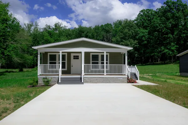 a house with a big yard plants and large trees