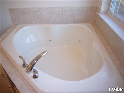 3287 Frontier Road Kutztown, PA 19530 - Photo 10 of 11 Master bath
