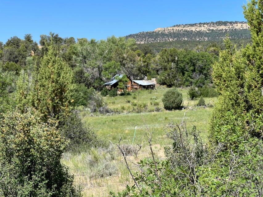 Mineral Springs Road Kanab, UT 84741 - Photo 47 of 51 52
