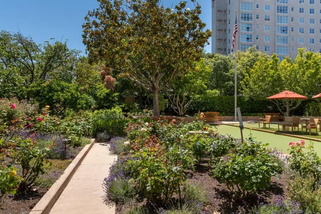 a view of a garden with an outdoor seating