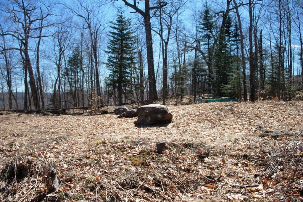 Tbd Tbd Oak Ridge Greenville Junction, ME 04442 - Photo 3 of 5 Photo