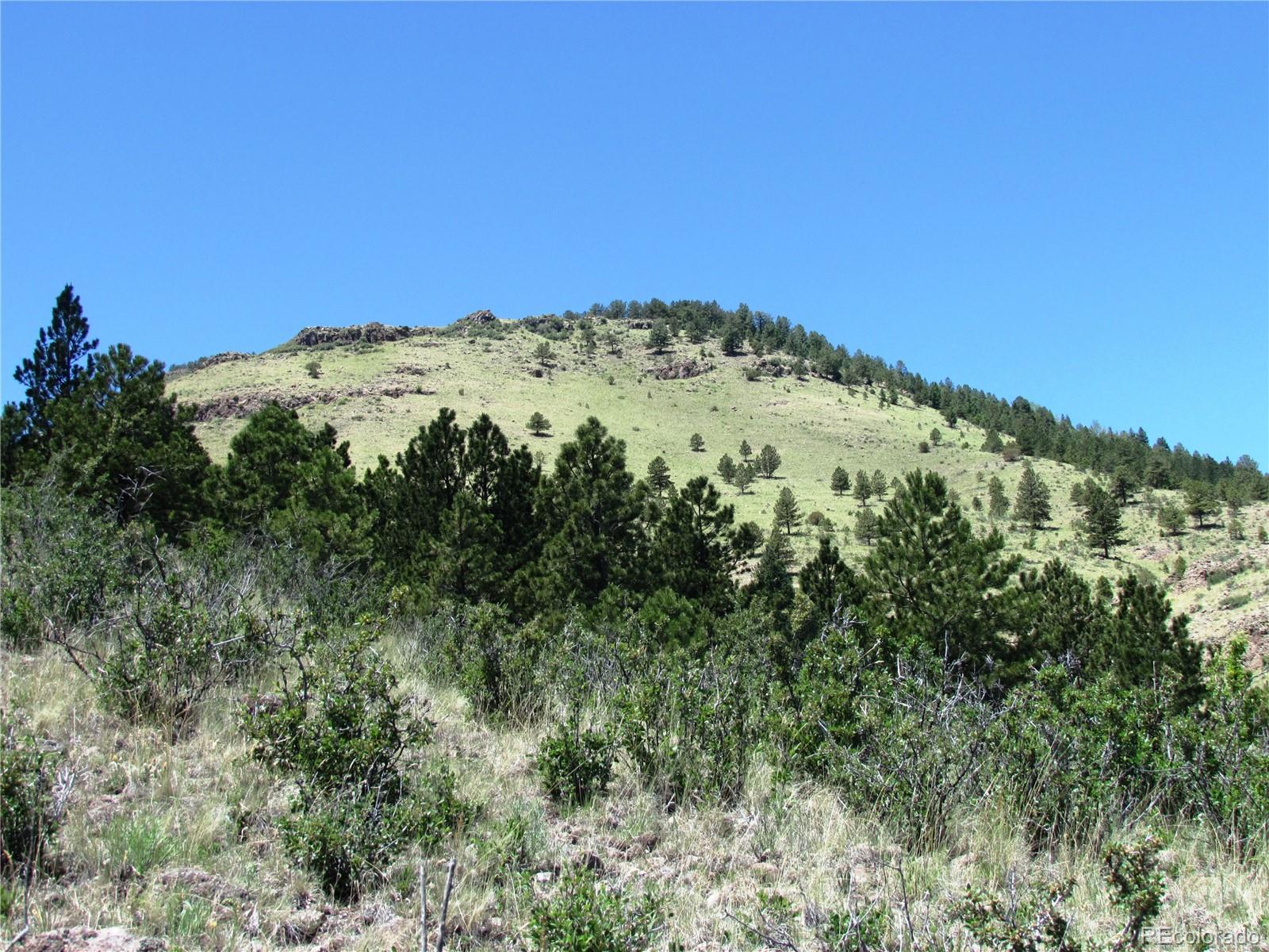 56 Witcher Mountain Road Guffey, CO 80820 - Photo 12 of 15