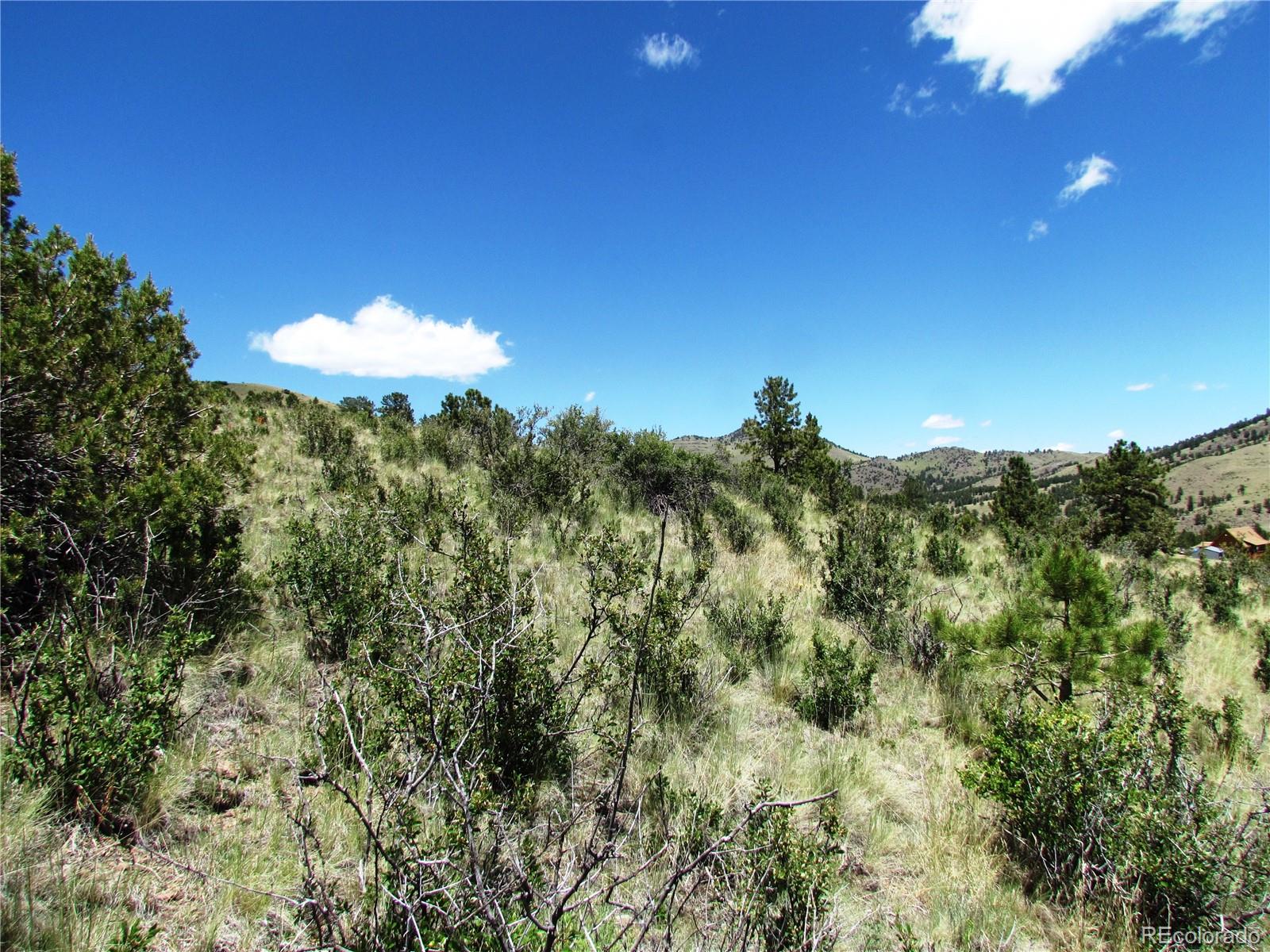 56 Witcher Mountain Road Guffey, CO 80820 - Photo 3 of 15