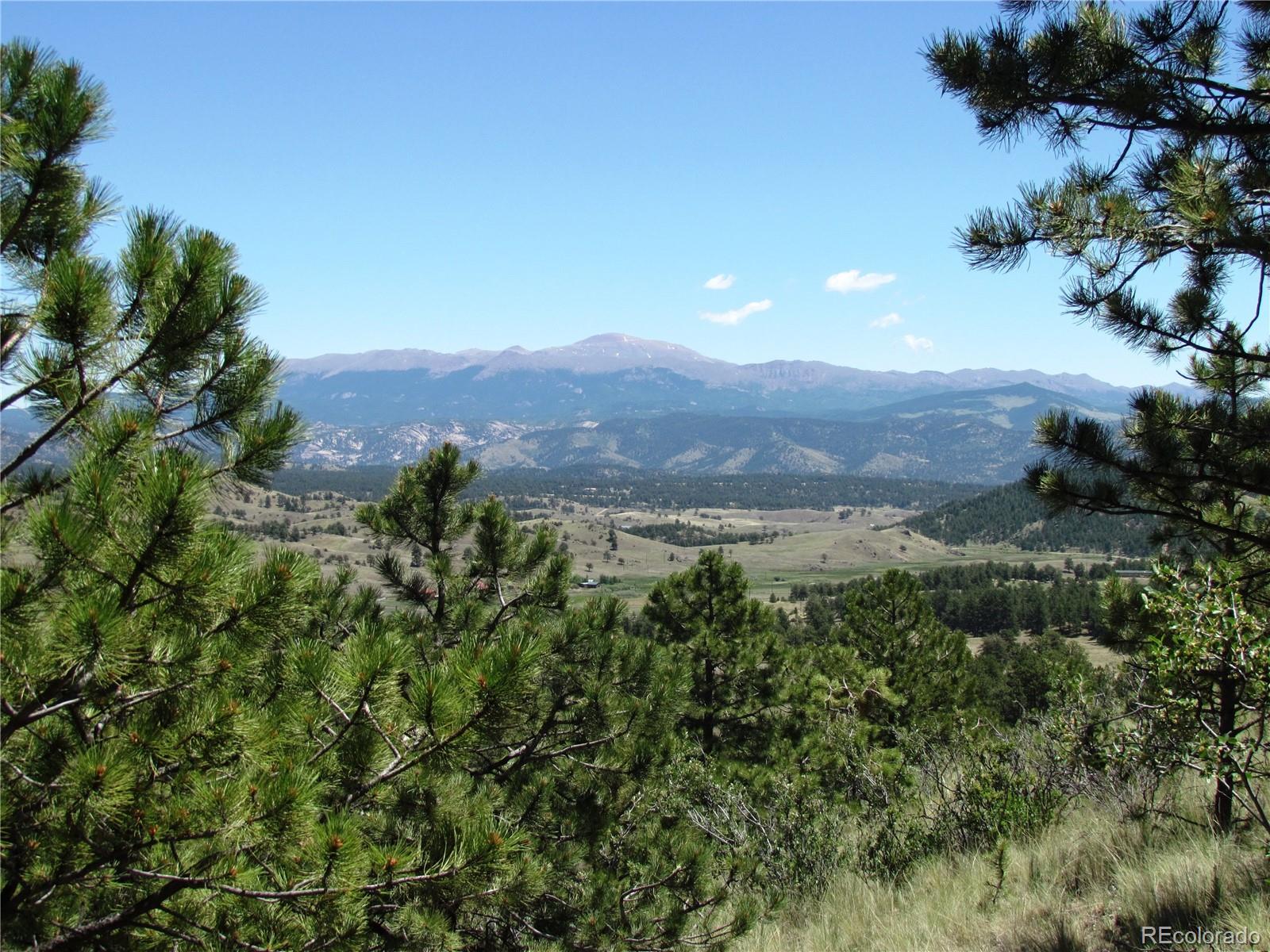 56 Witcher Mountain Road Guffey, CO 80820 - Photo 4 of 15