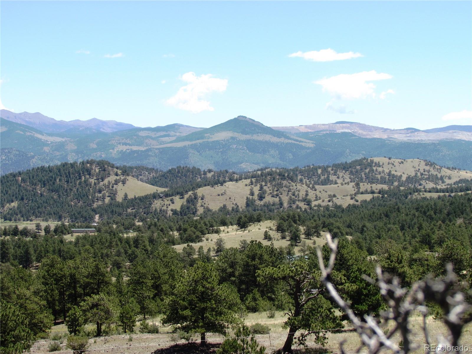 56 Witcher Mountain Road Guffey, CO 80820 - Photo 5 of 15