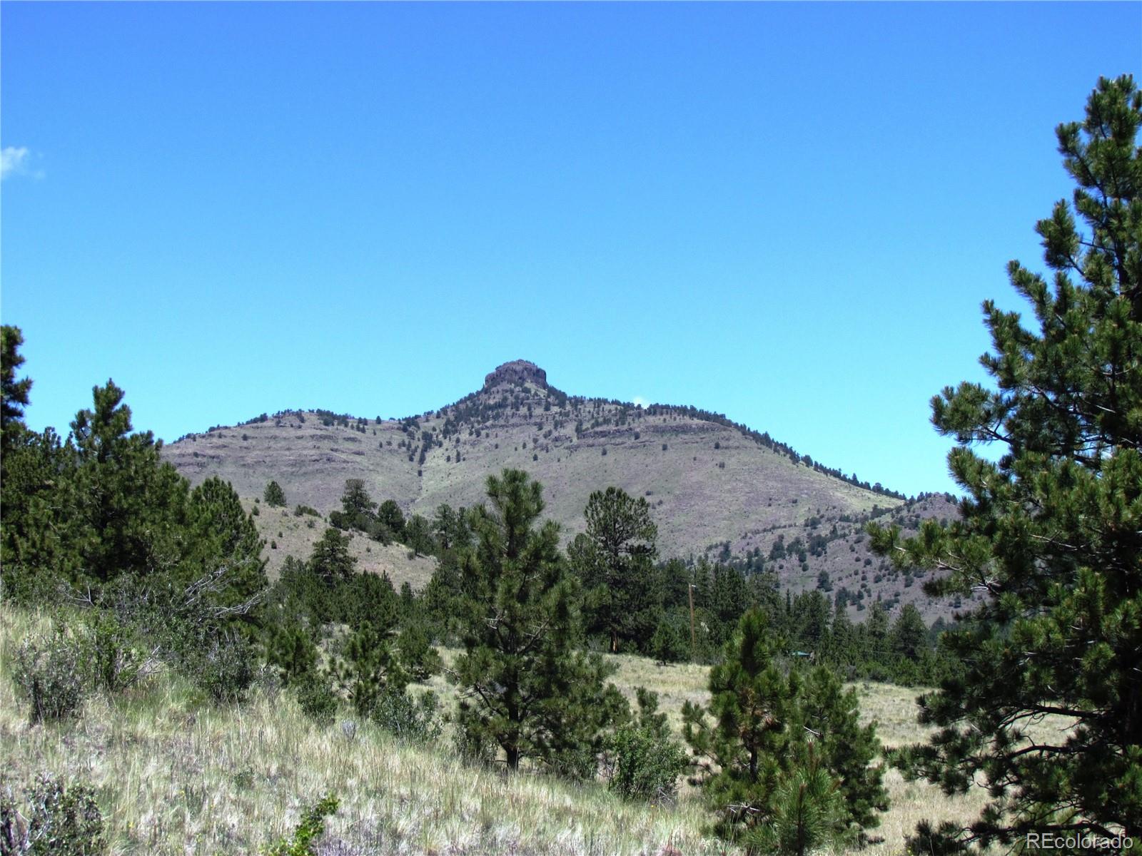 56 Witcher Mountain Road Guffey, CO 80820 - Photo 6 of 15