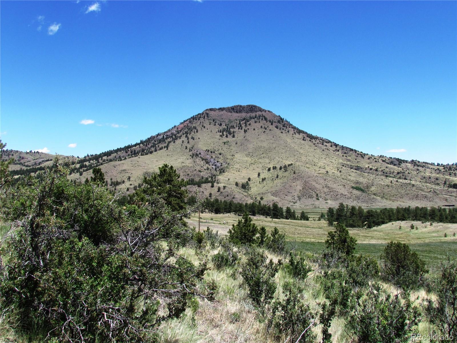 56 Witcher Mountain Road Guffey, CO 80820 - Photo 7 of 15