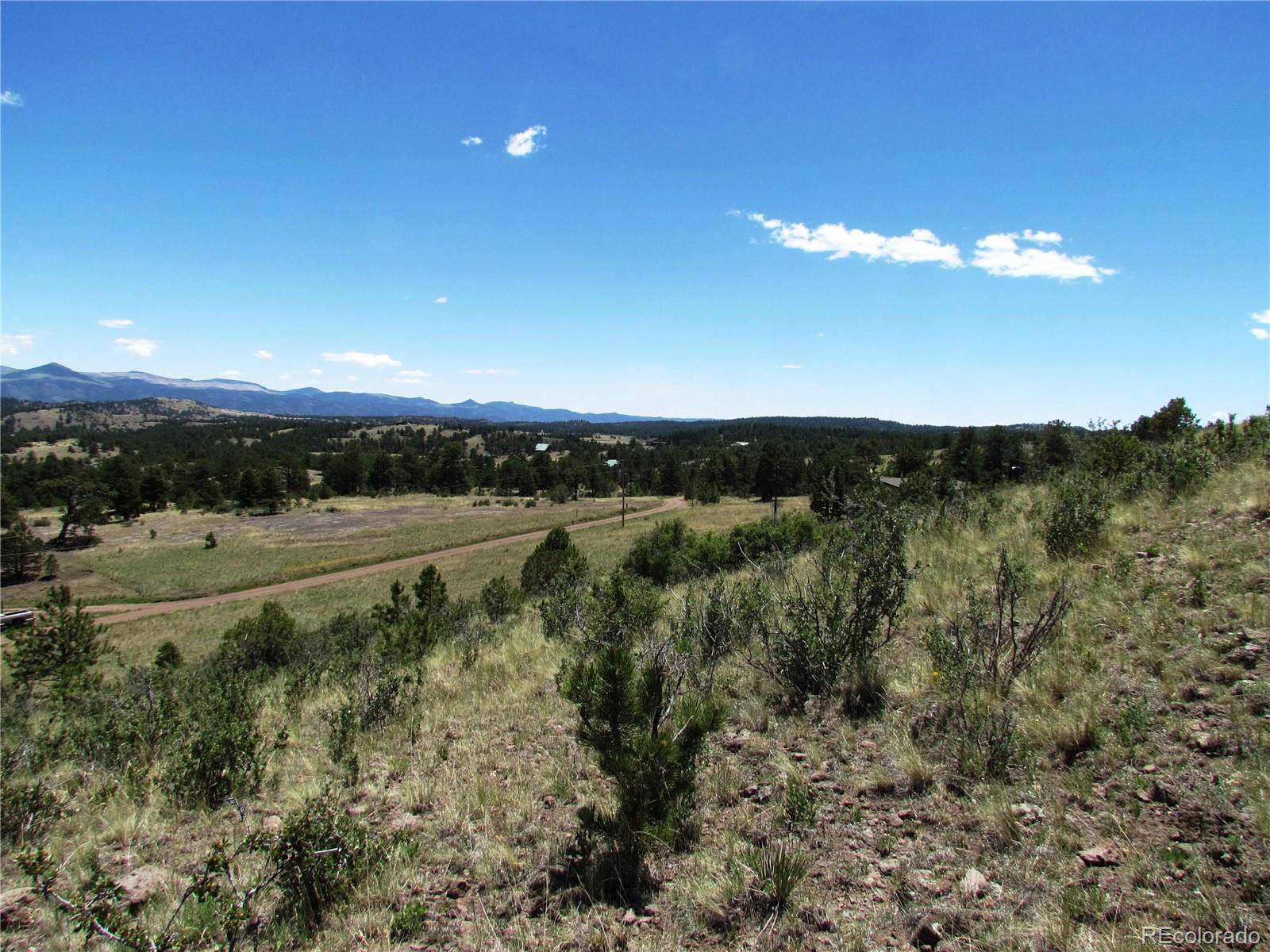56 Witcher Mountain Road Guffey, CO 80820 - Photo 8 of 15