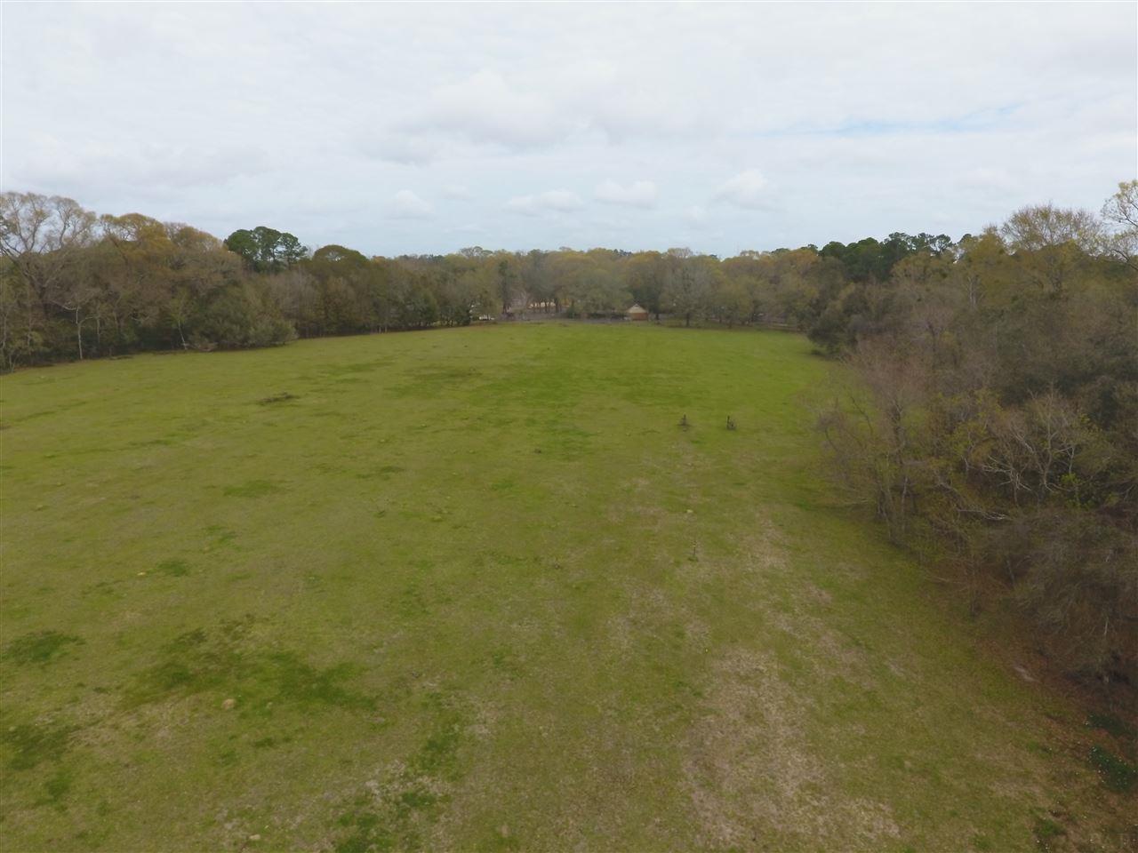 7900 Chellie Road Pensacola, FL 32526 - Photo 11 of 22 Gallery Image 11