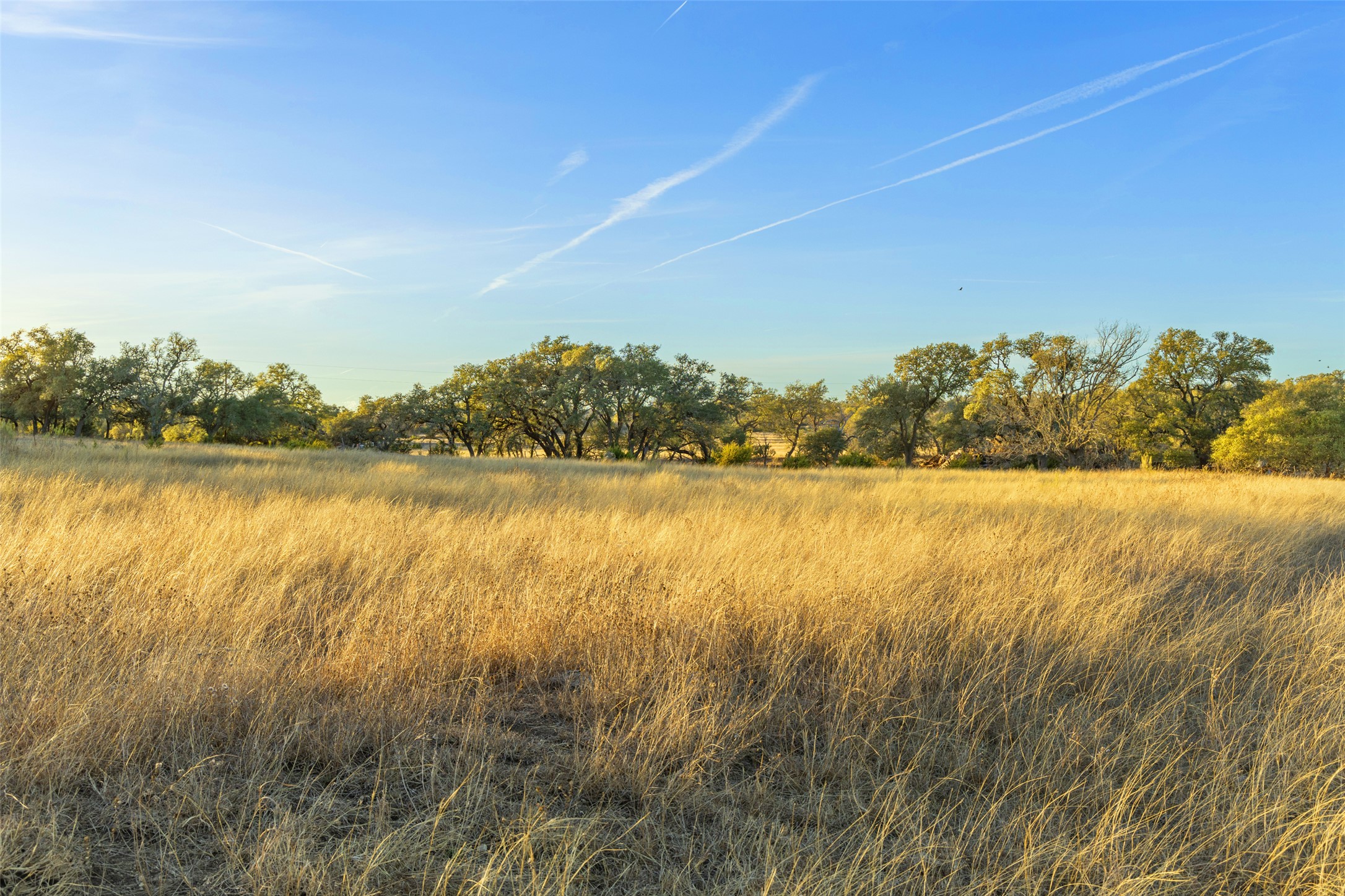 View of undeveloped land with rural landscape