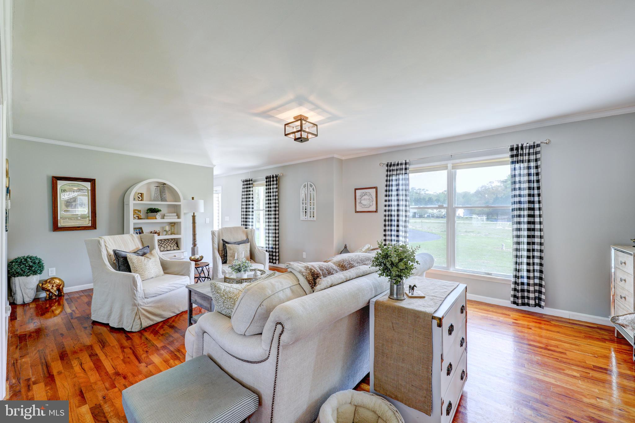 22816 Deep Branch Road Georgetown, DE 19947 - Photo 13 of 85 Living room