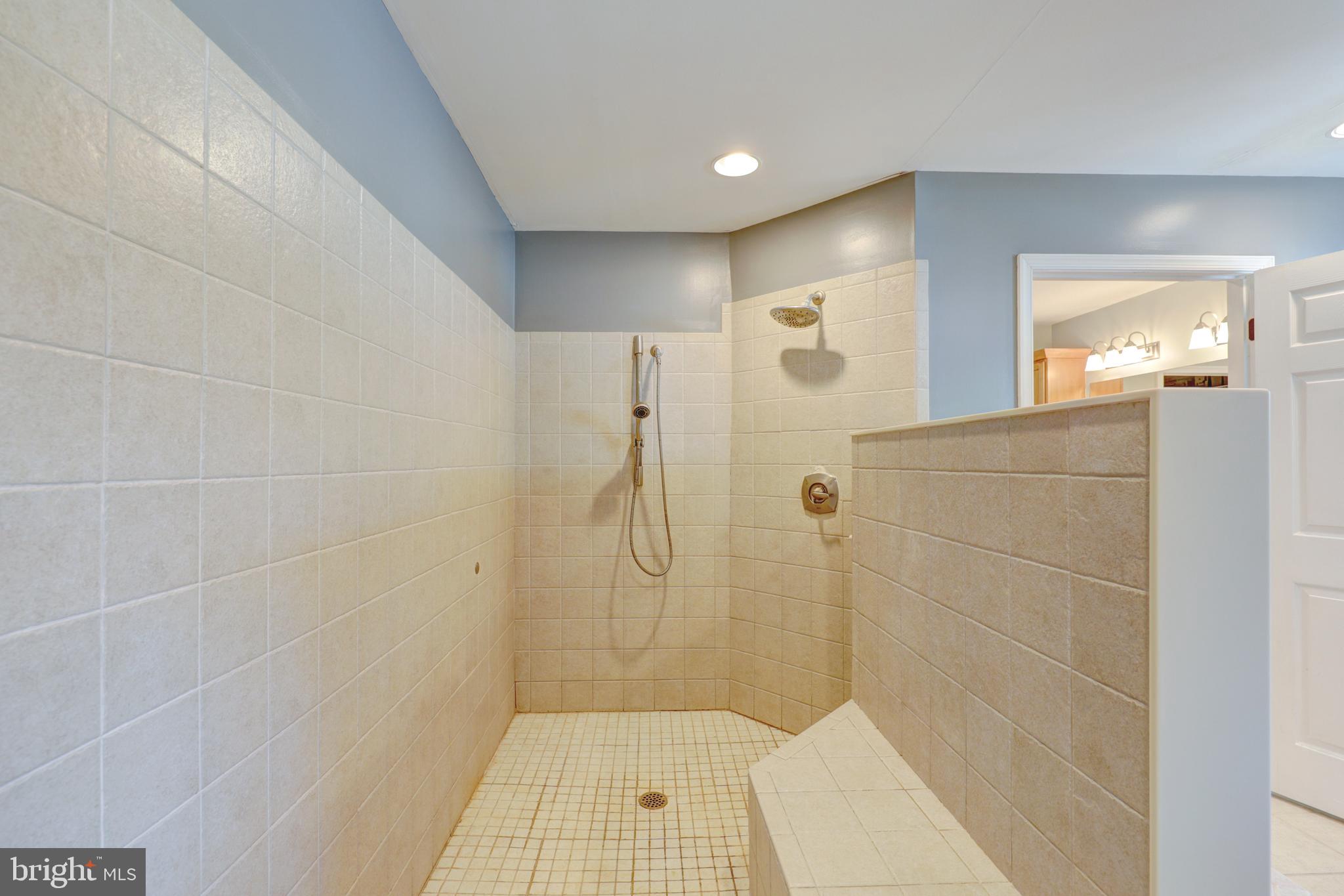 22816 Deep Branch Road Georgetown, DE 19947 - Photo 49 of 85 Walk in, tiled shower in master bathroom