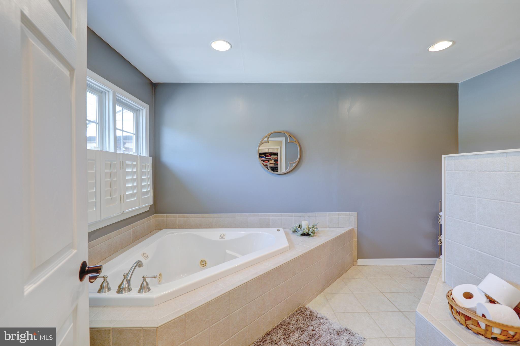 22816 Deep Branch Road Georgetown, DE 19947 - Photo 50 of 85 Huge tub in master bathroom