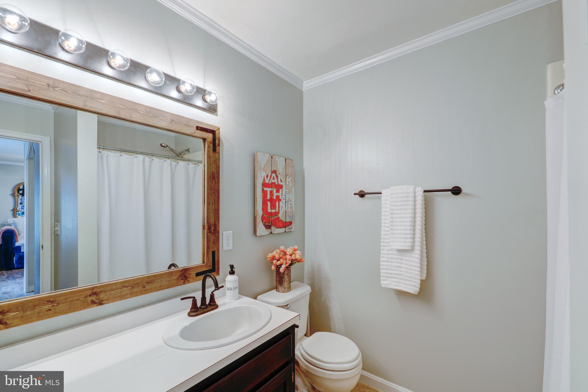 22816 Deep Branch Road Georgetown, DE 19947 - Photo 62 of 85 2nd floor master bathroom