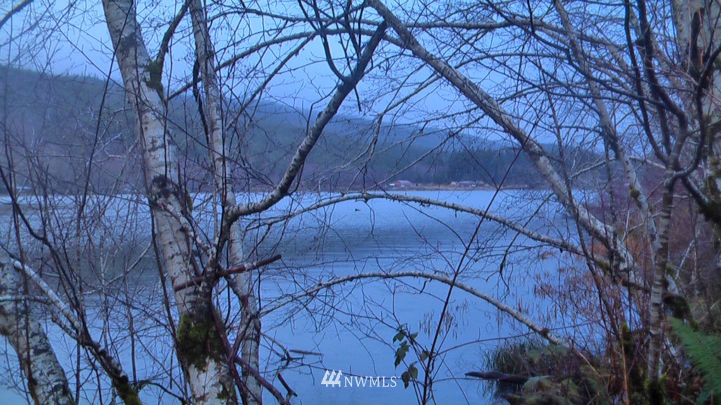 14 Lake Pleasant Park Road Beaver, WA 98305 - Photo 1 of 1 Gallery Image 1