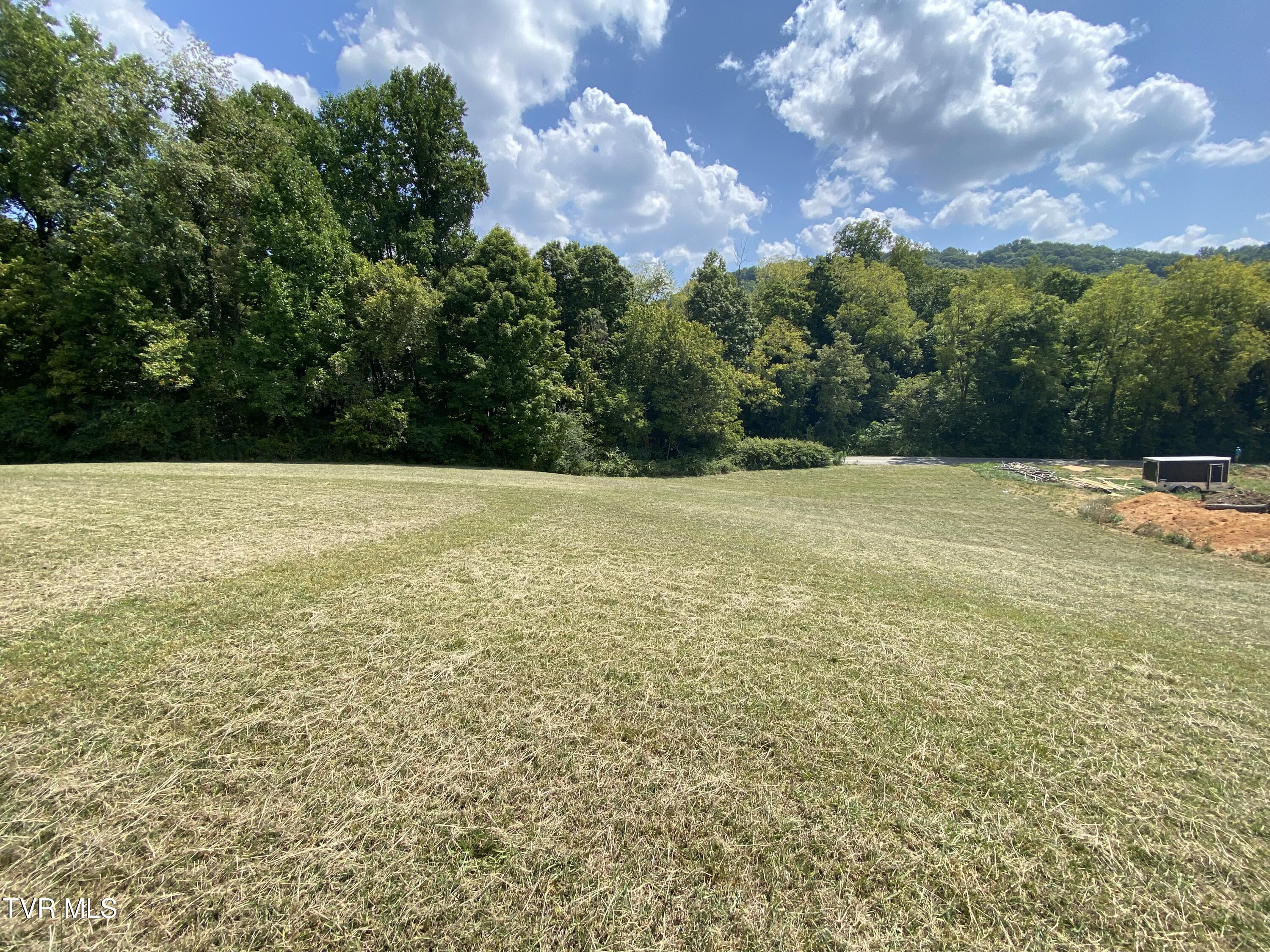Tbd Knob Creek Road, Unit 7 Johnson City, TN 37615 - Photo 6 of 10 IMG_9768
