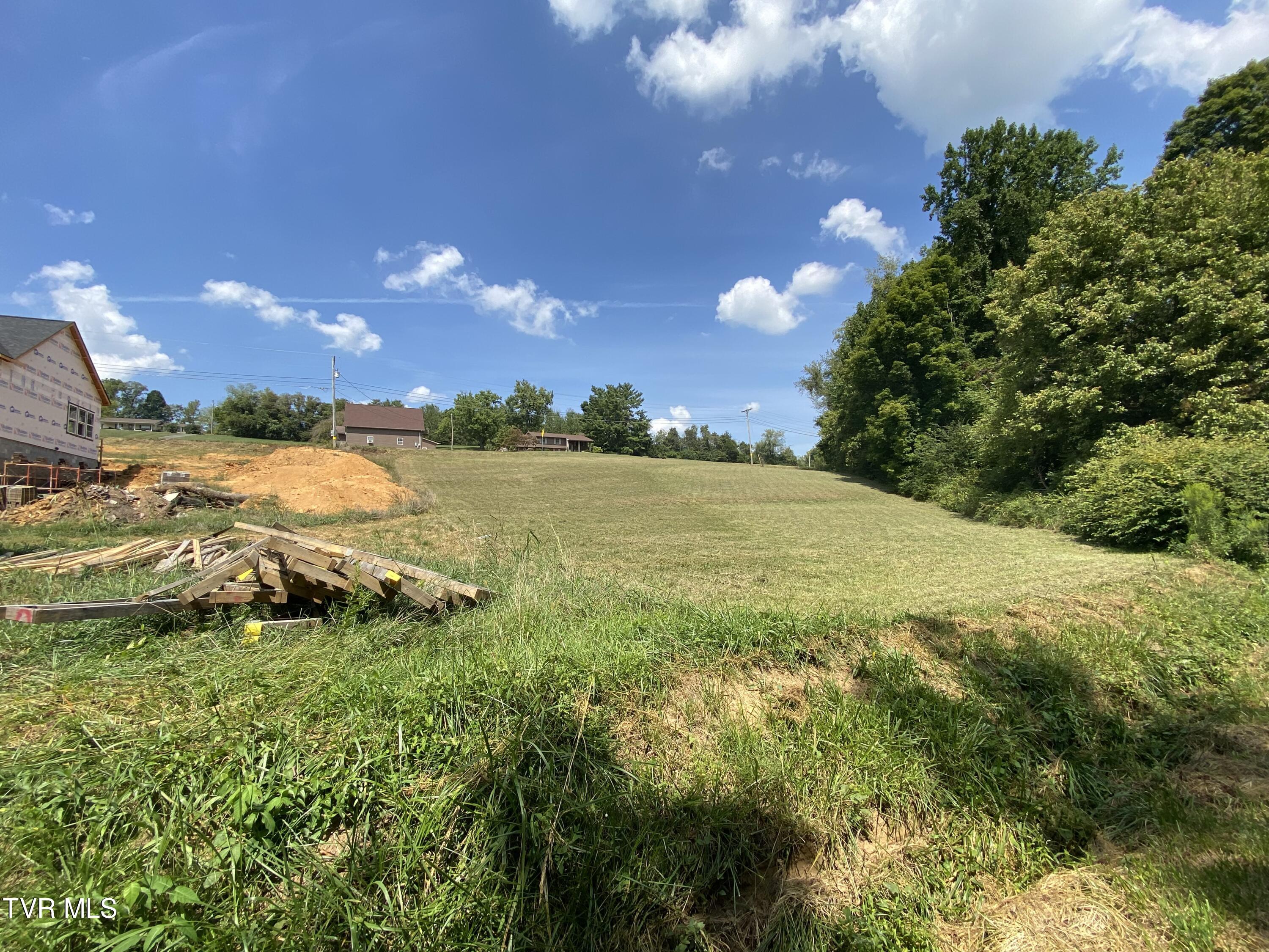 Tbd Knob Creek Road, Unit 7 Johnson City, TN 37615 - Photo 8 of 10 IMG_9775
