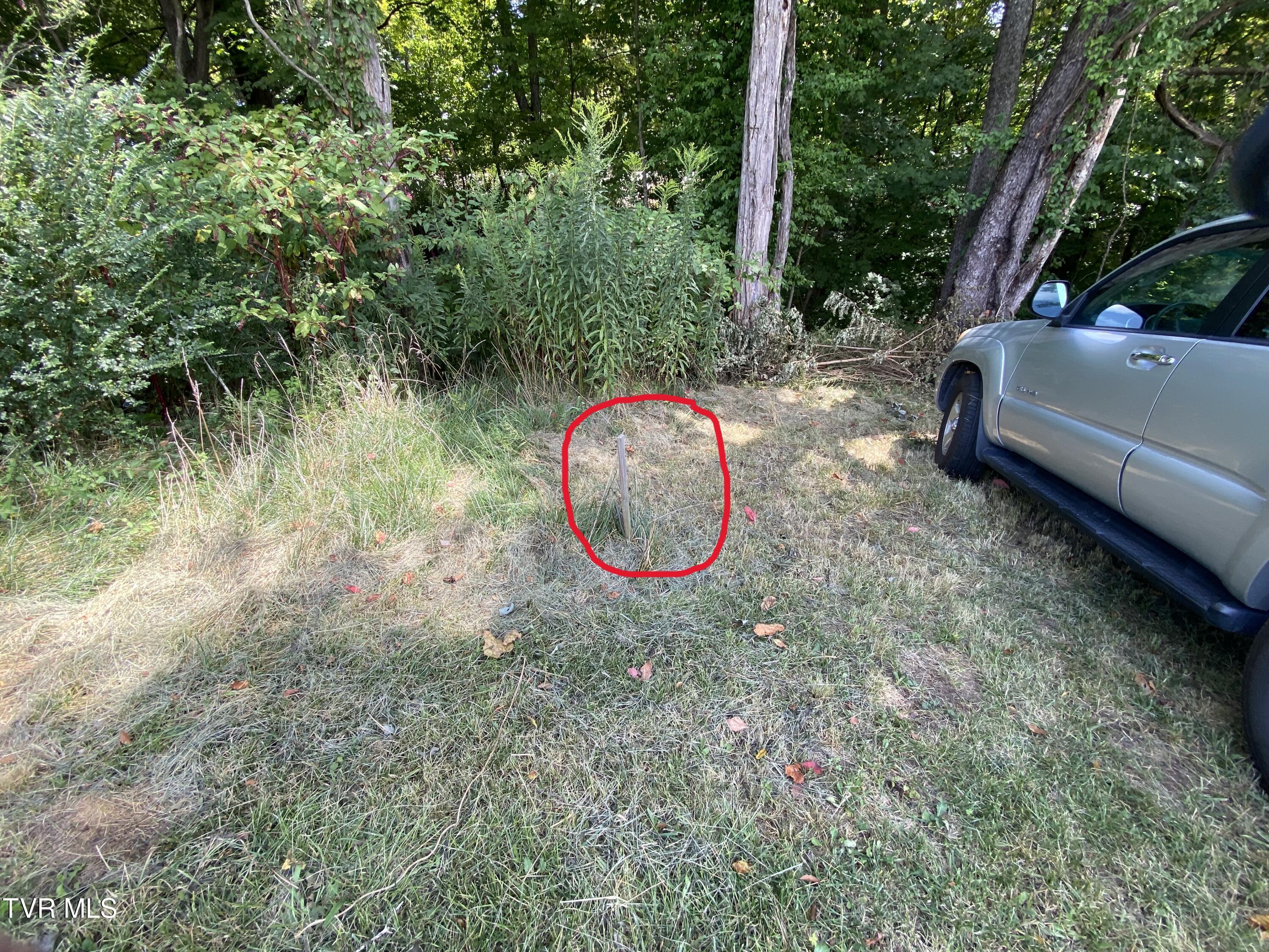 Tbd Knob Creek Road, Unit 7 Johnson City, TN 37615 - Photo 10 of 10 IMG_9773