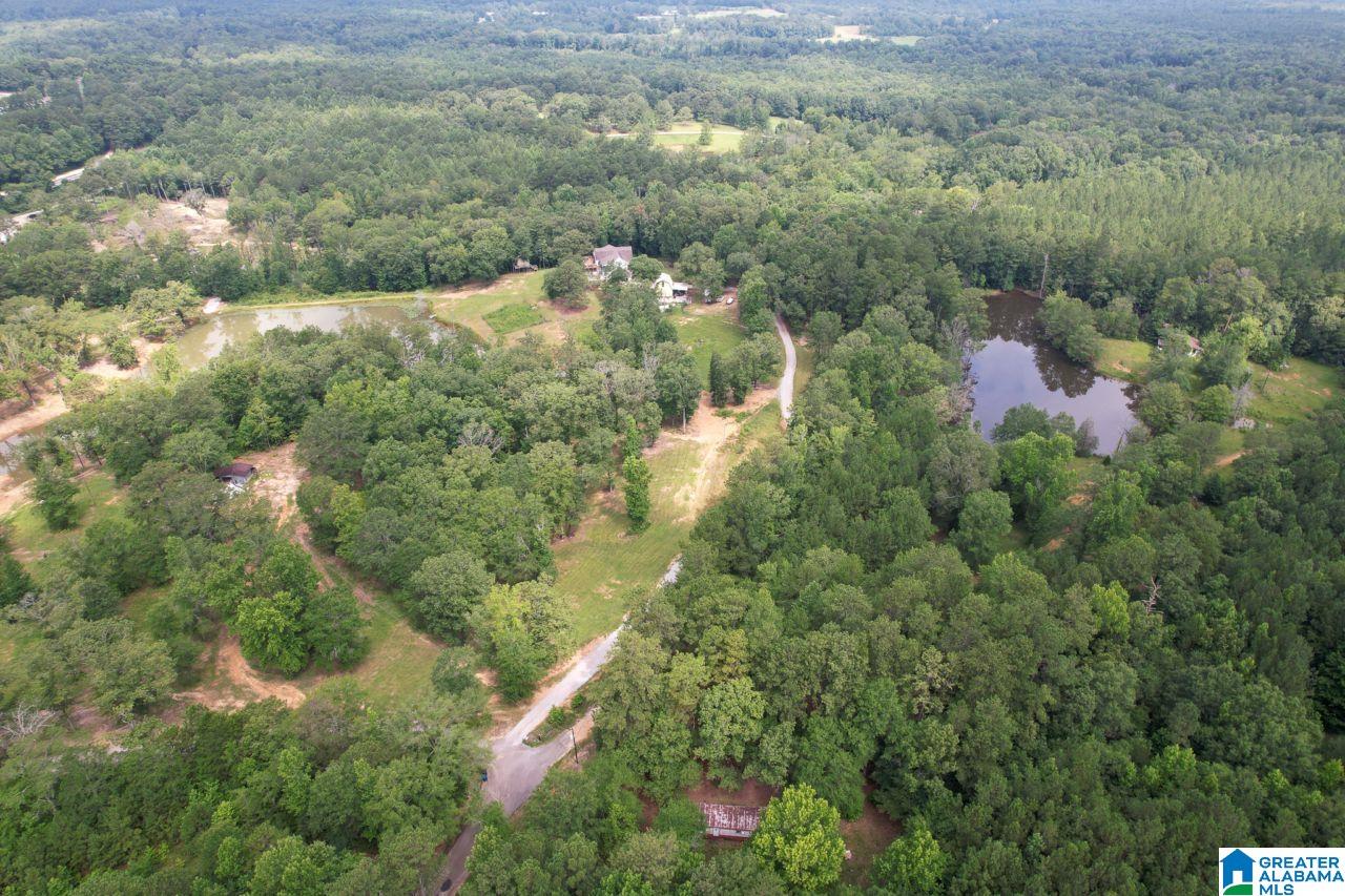 131 Lake Cottage Road Sterrett, AL 35147 - Photo 54 of 64