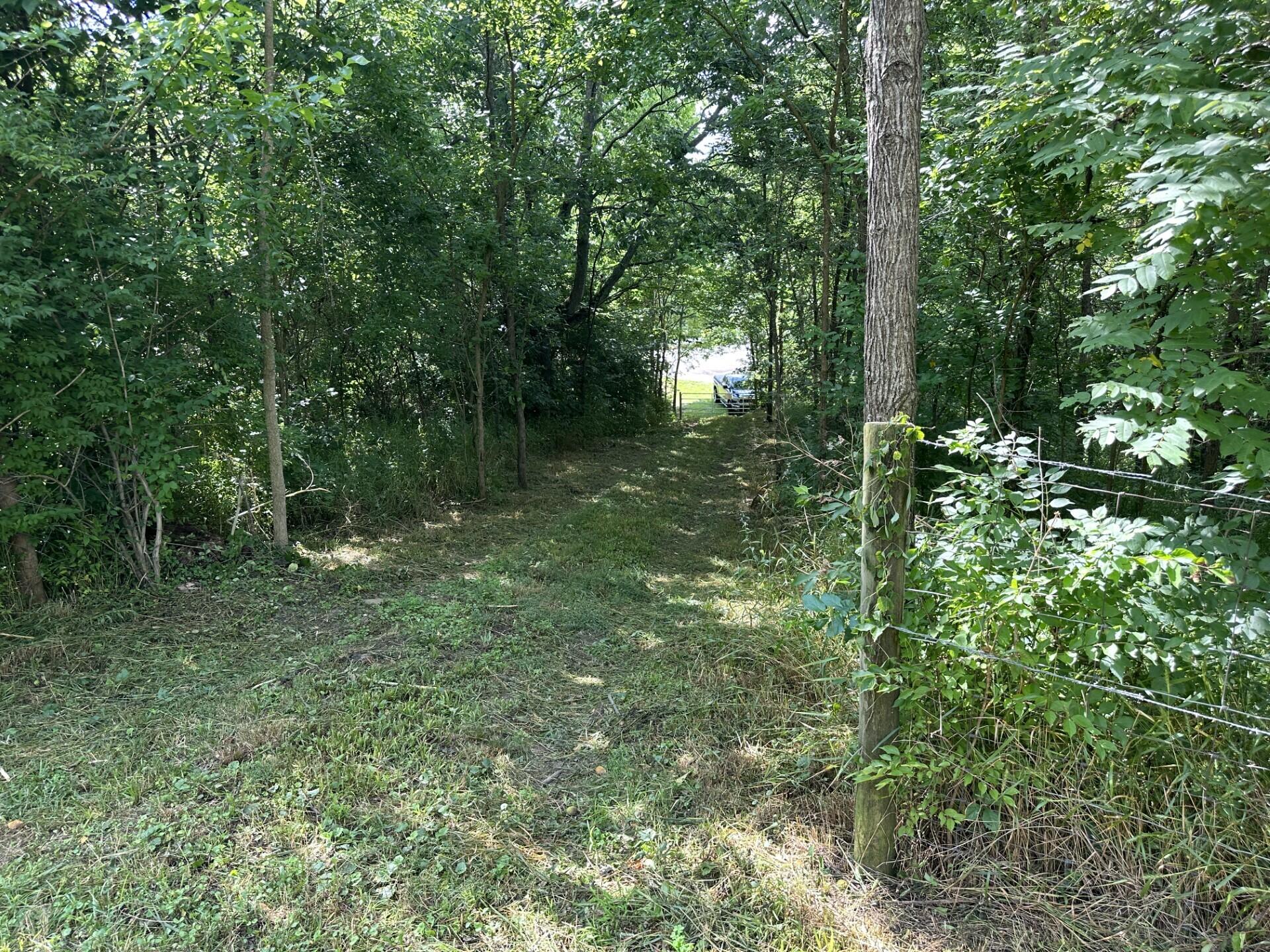 6150 Bridgeville Road Brooksville, KY 41004 - Photo 6 of 37 Gallery Image 6