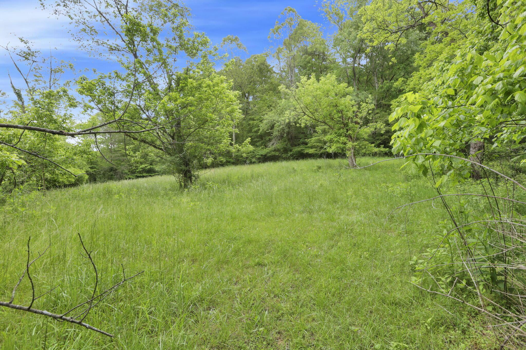 7485 Sugar Grove Road Southeast Sugar Grove, OH 43155 - Photo 56 of 95 59-web-or-mls-LO5A2380