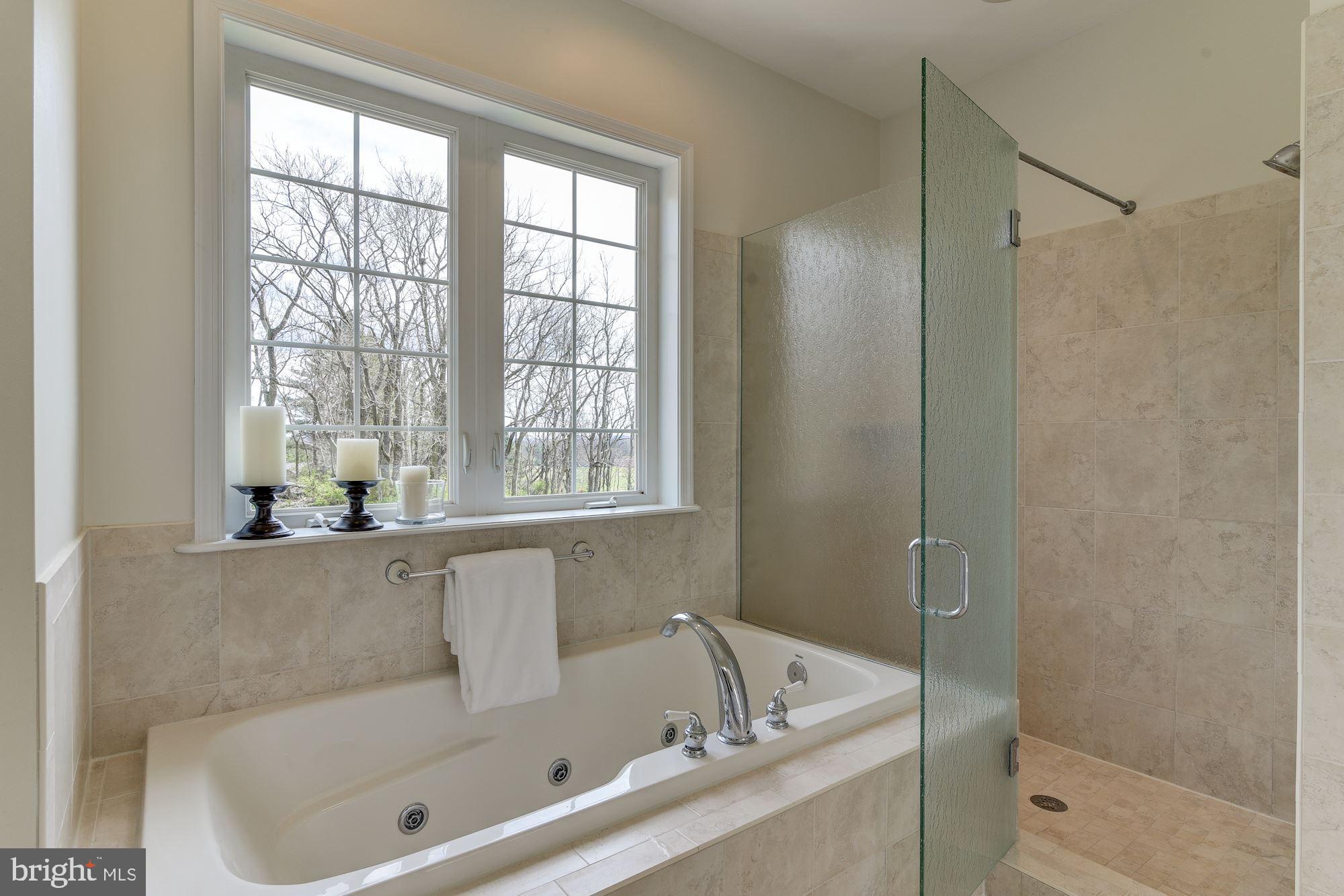 9219 Bessie Clemson Road Union Bridge, MD 21791 - Photo 34 of 74 Master Bathroom