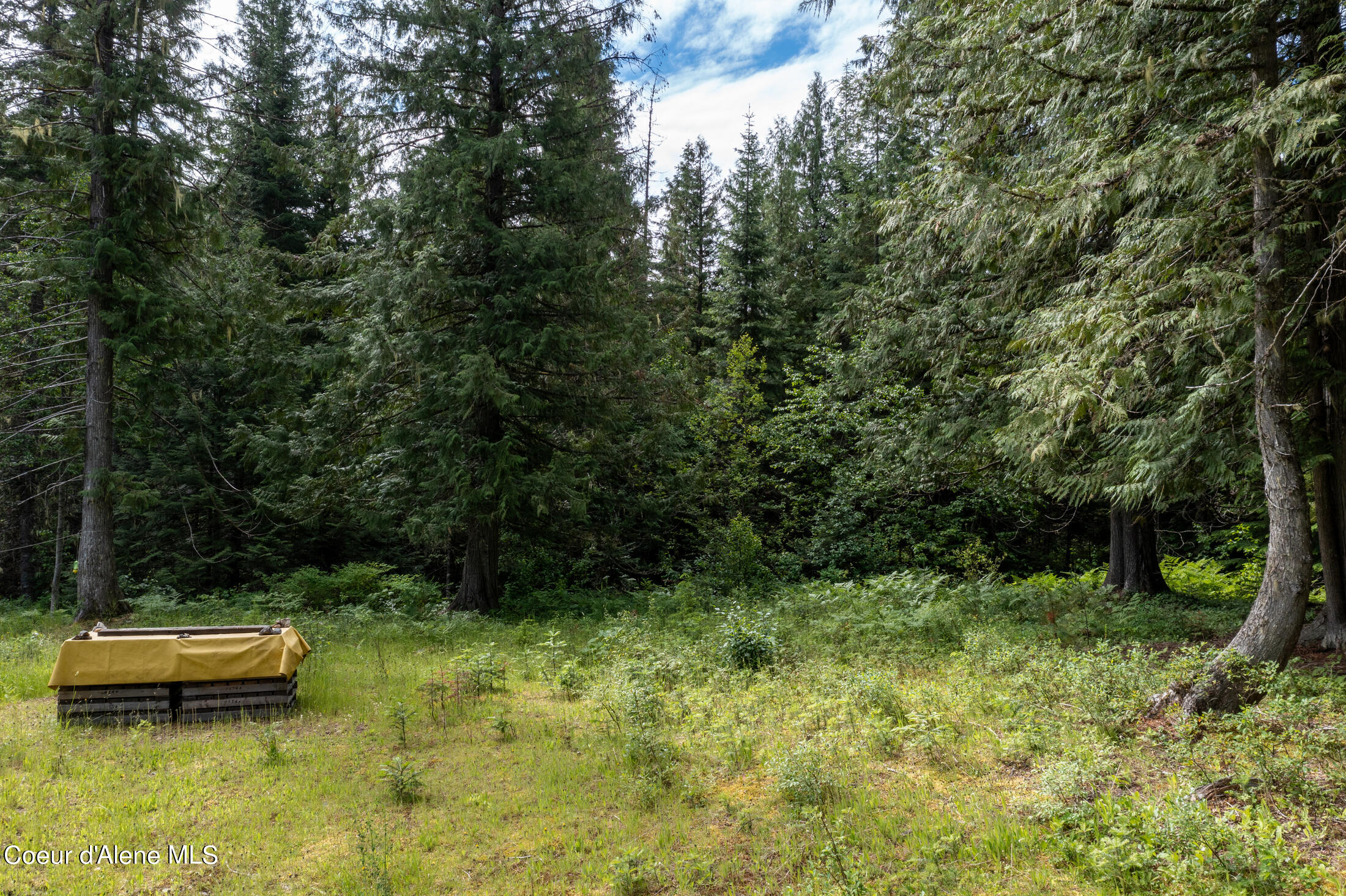 Nna Beaver Creek Road Wallace, ID 83873 - Photo 18 of 57 DJI_0798-HDR-29
