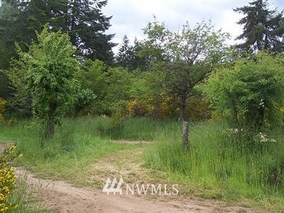8171 Southeast Overaa Road Port Orchard, WA 98367 - Photo 1 of 1 Gallery Image 1
