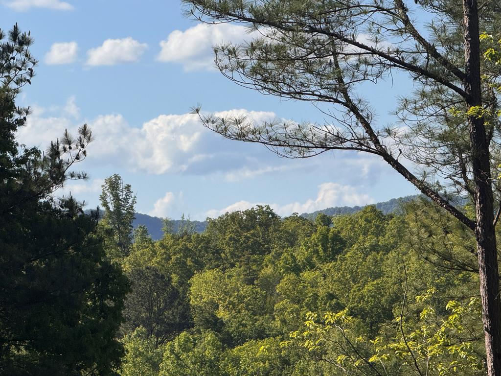 Lot 2 Grassy Creek Road Copperhill, TN 37317 - Photo 18 of 22